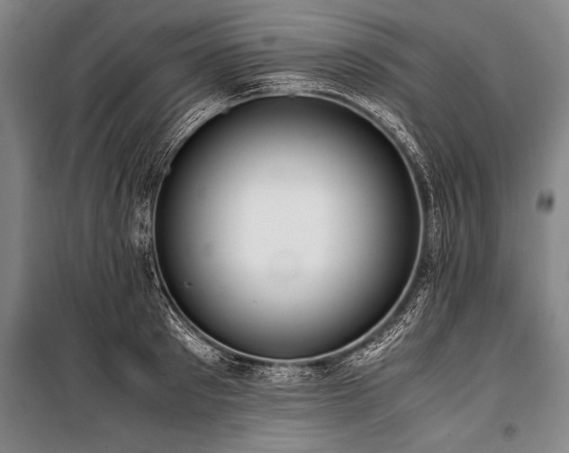 X0000101190897200806271313