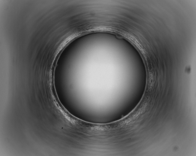 X0000101190898200806271313