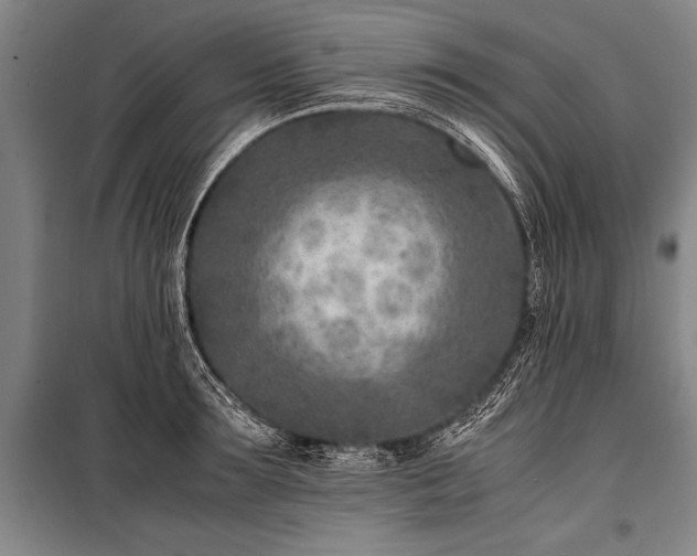 X0000101190899200806271313