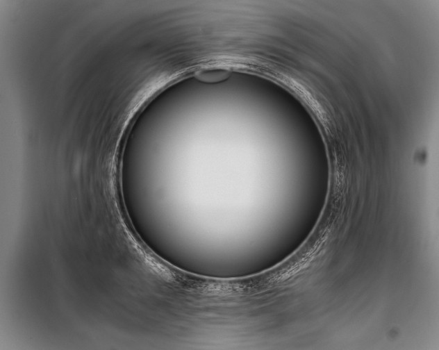 X0000101190901200806271313