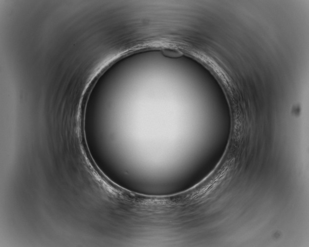 X0000101190902200806271313