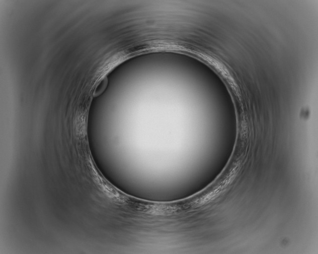 X0000101190905200806271313