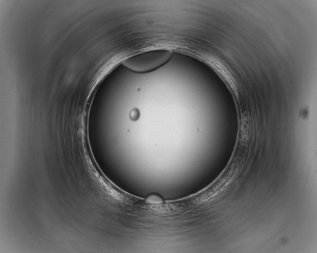 X0000101190906200806271313