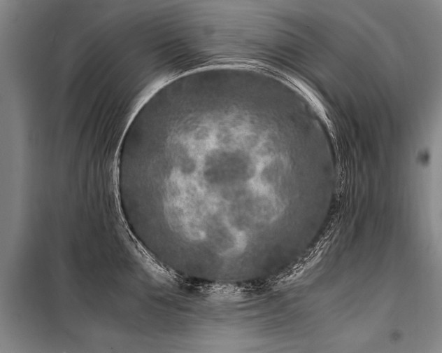 X0000101190907200806271313