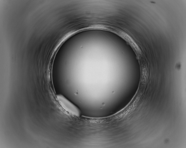 X0000101190908200806271313