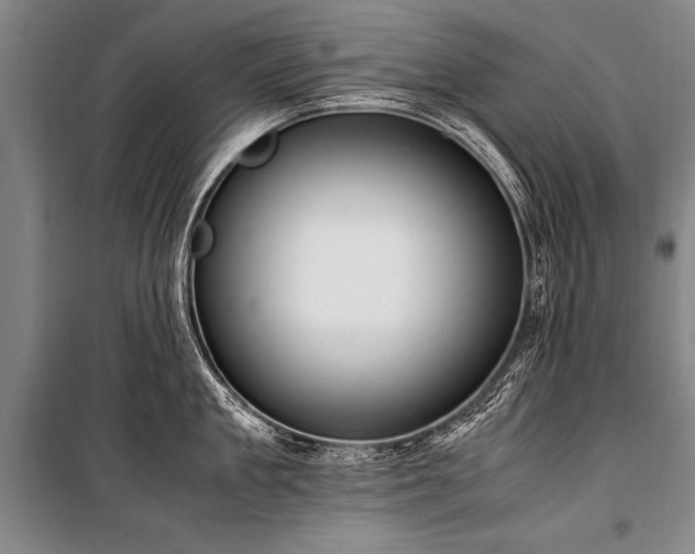 X0000101190909200806271313