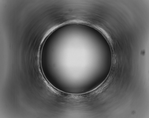 X0000101190910200806271313