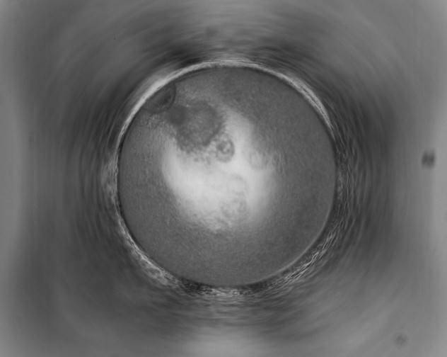 X0000101190911200806271313