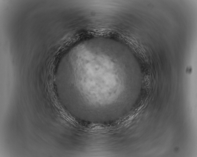 X0000101190913200806271312