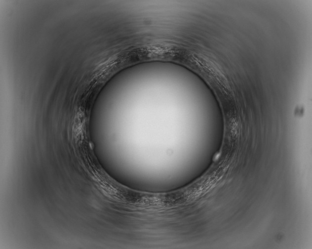 X0000101190914200806271312