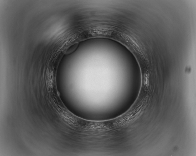 X0000101190915200806271312