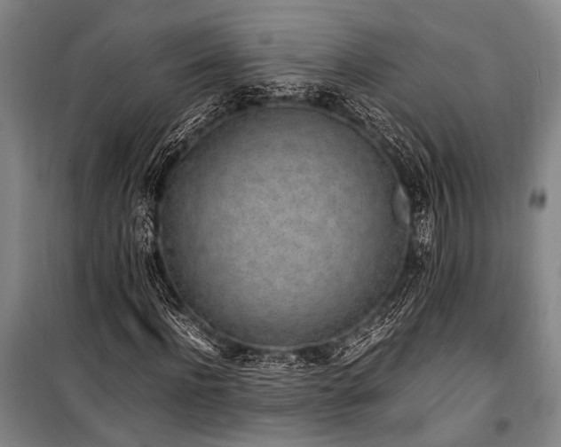 X0000101190916200806271312