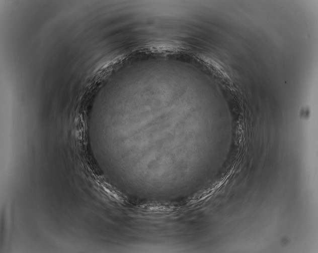 X0000101190917200806271312
