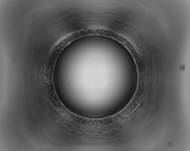 X0000101190919200806271312