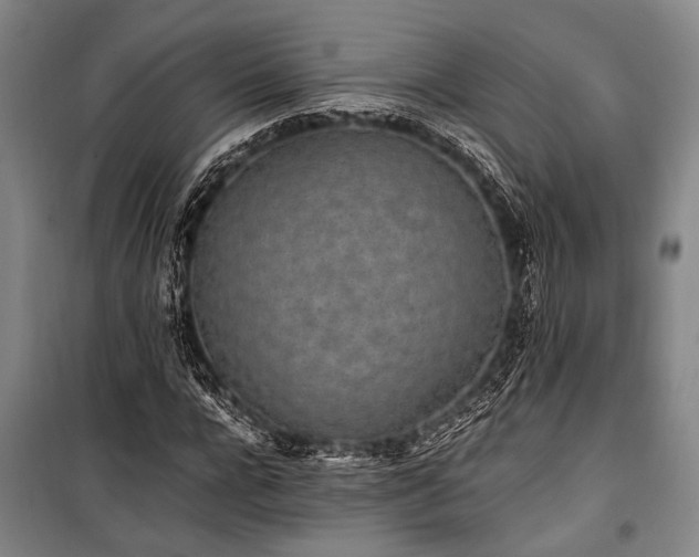 X0000101190920200806271312