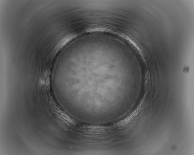 X0000101190921200806271312