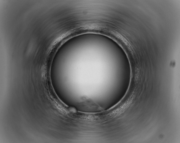 X0000101190922200806271312