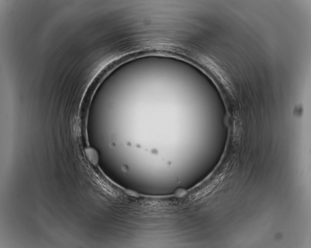 X0000101190924200806271312