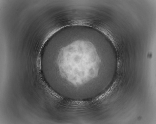 X0000101190925200806271312