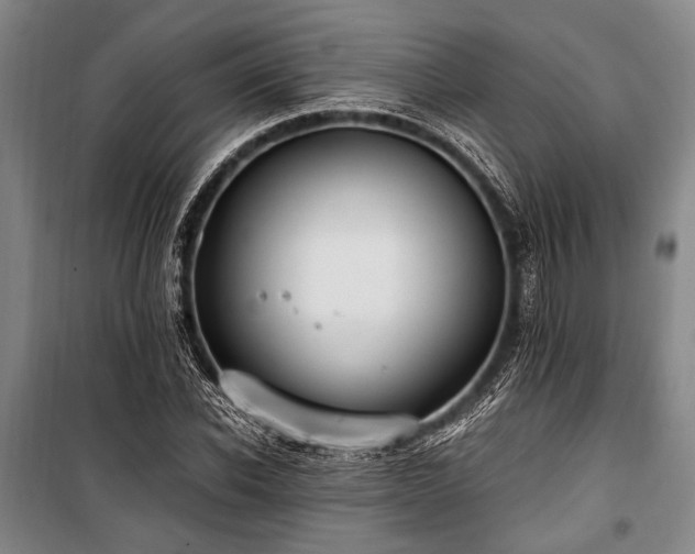 X0000101190926200806271312