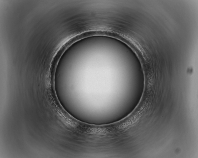 X0000101190927200806271312