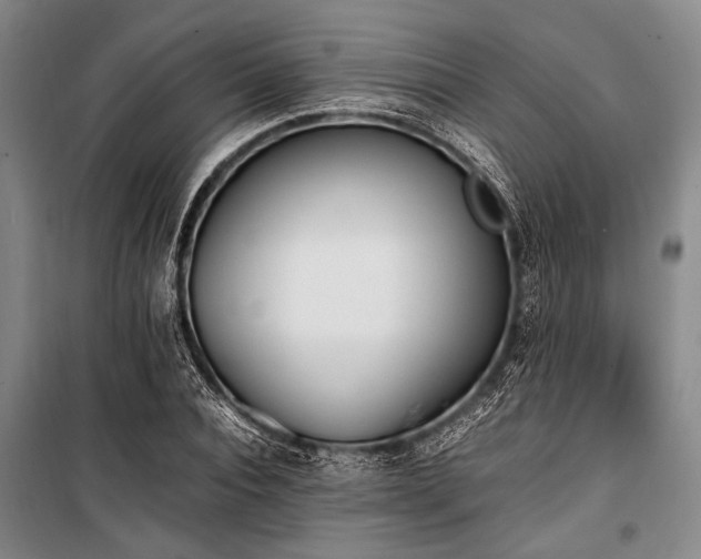 X0000101190928200806271312