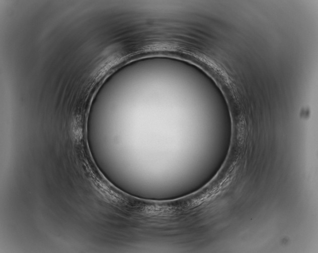 X0000101190929200806271312