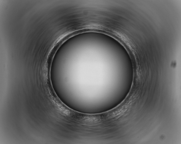 X0000101190931200806271312