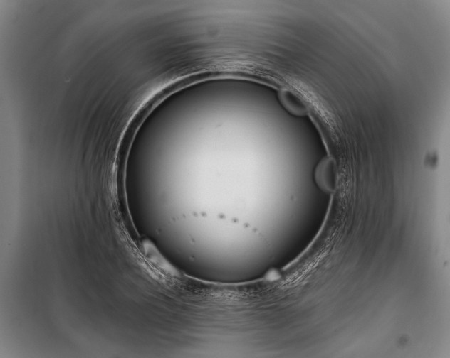 X0000101190932200806271312