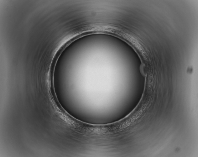 X0000101190936200806271312