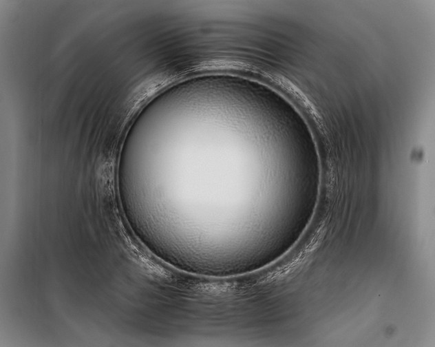 X0000101190937200806271312