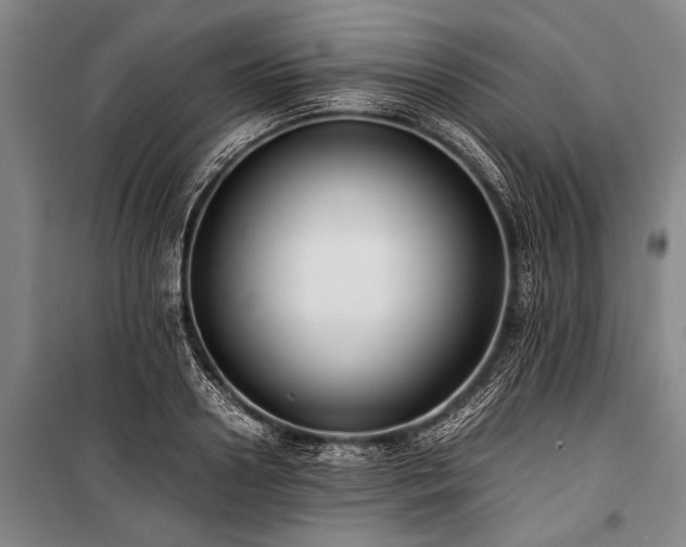 X0000101190938200806271312