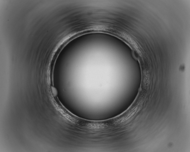 X0000101190939200806271312