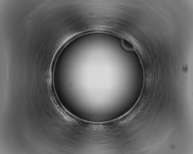 X0000101190940200806271312