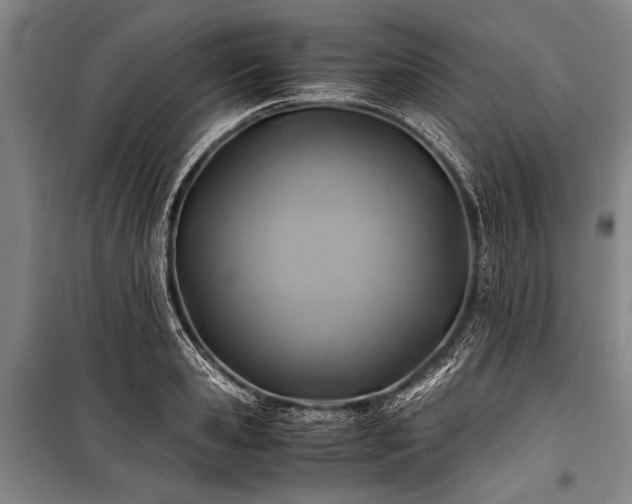 X0000101190941200806271312