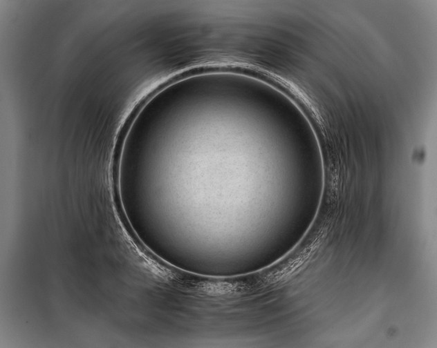 X0000101190943200806271312