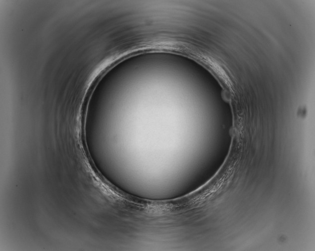 X0000101190944200806271312