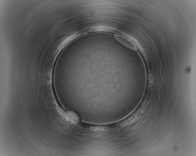 X0000101190946200806271312