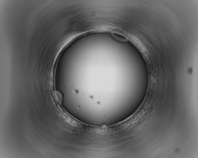 X0000101190948200806271312
