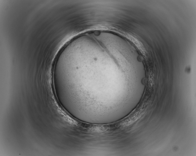 X0000101190950200806271312