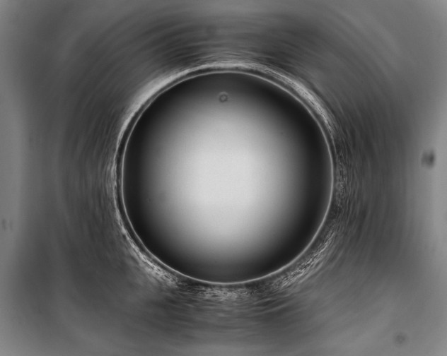 X0000101190951200806271312