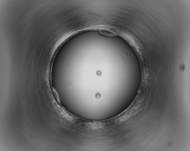 X0000101190952200806271312