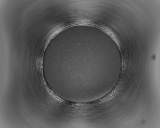X0000101190954200806271313