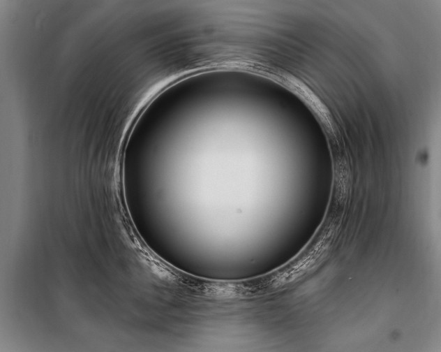 X0000101190956200806271313