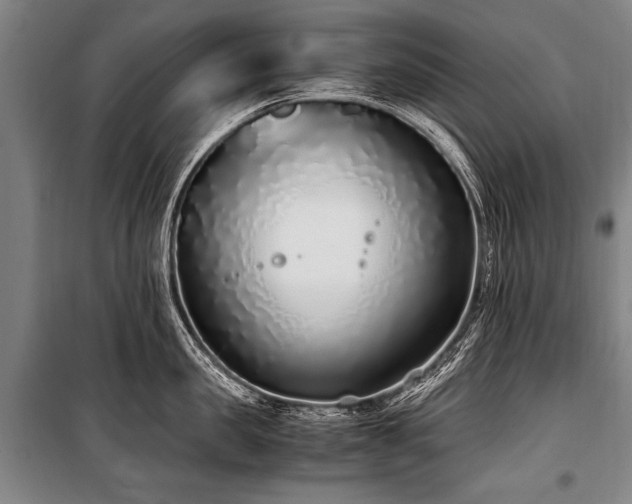 X0000101190957200806271313
