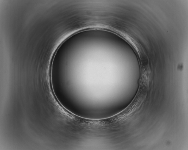 X0000101190959200806271313