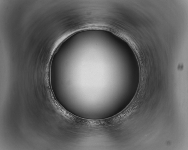X0000101190960200806271313
