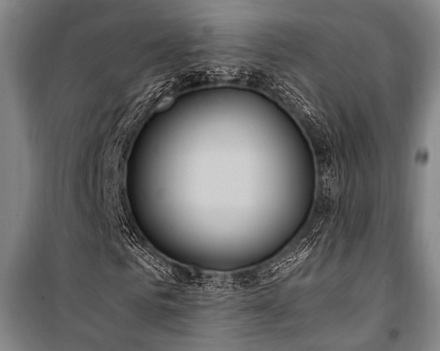 X0000101190961200806271312