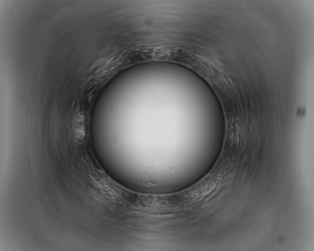 X0000101190962200806271312