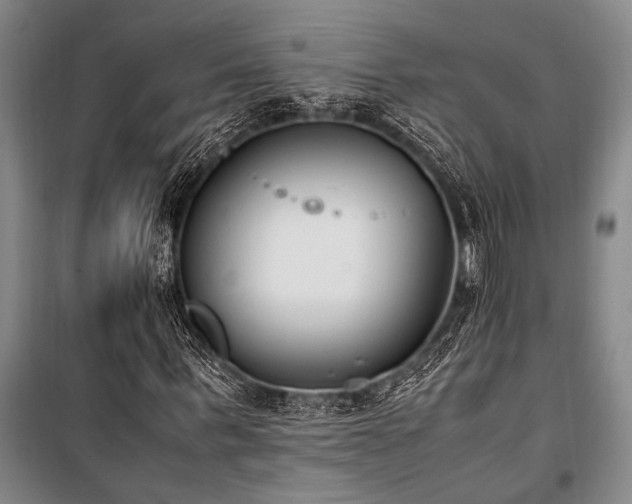 X0000101190963200806271312